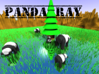 Info page of the 3D movie project 'Panda Ray' (Povray)